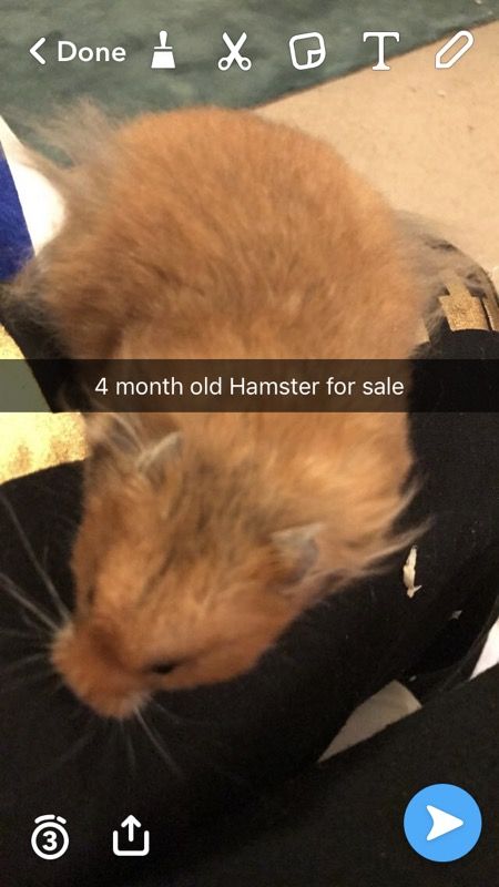 Offer up