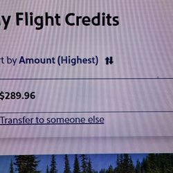 Southwest Airlines Transferable Flight Credit Over $500