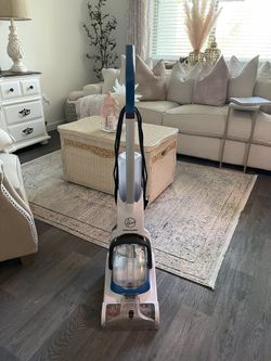 Hoover Power Dash 🐾