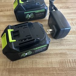 FeiHu 2 Pack Battery N Charger 