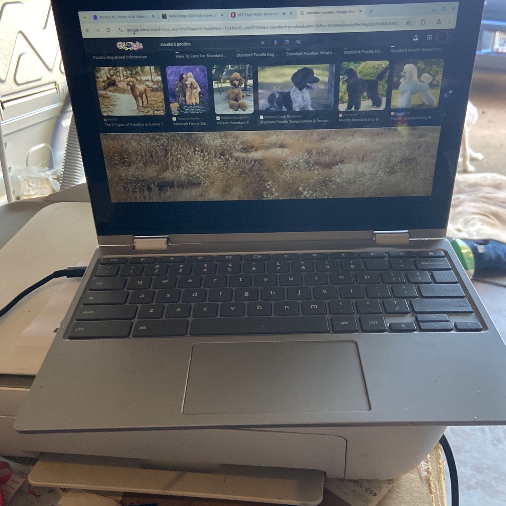 Standard Poodle Laptop