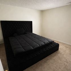 Black Velvet Queen Bed
