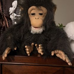 hasbro furreal friends cuddle interaction chimpanzee, Panda, And Polar Bear $60 Each 