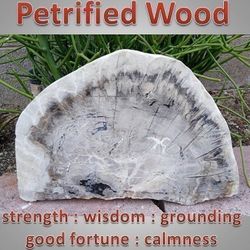 Huge Petrified Wood Stone Rock Slab #1