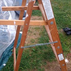 5 foot ladder