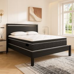 Queen Bed Frame + 10” Hybrid Mattress Combo (Open Box)