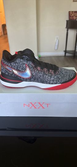 Zoom LEBRON NXXT GEN