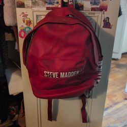Steve Madden bag