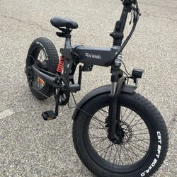 5th WHEEL ELECTRIC BIKE