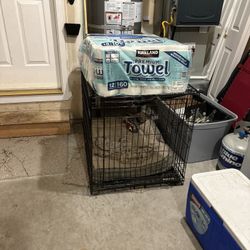 Large Dog Kennel