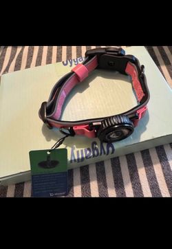 Dog ID collar