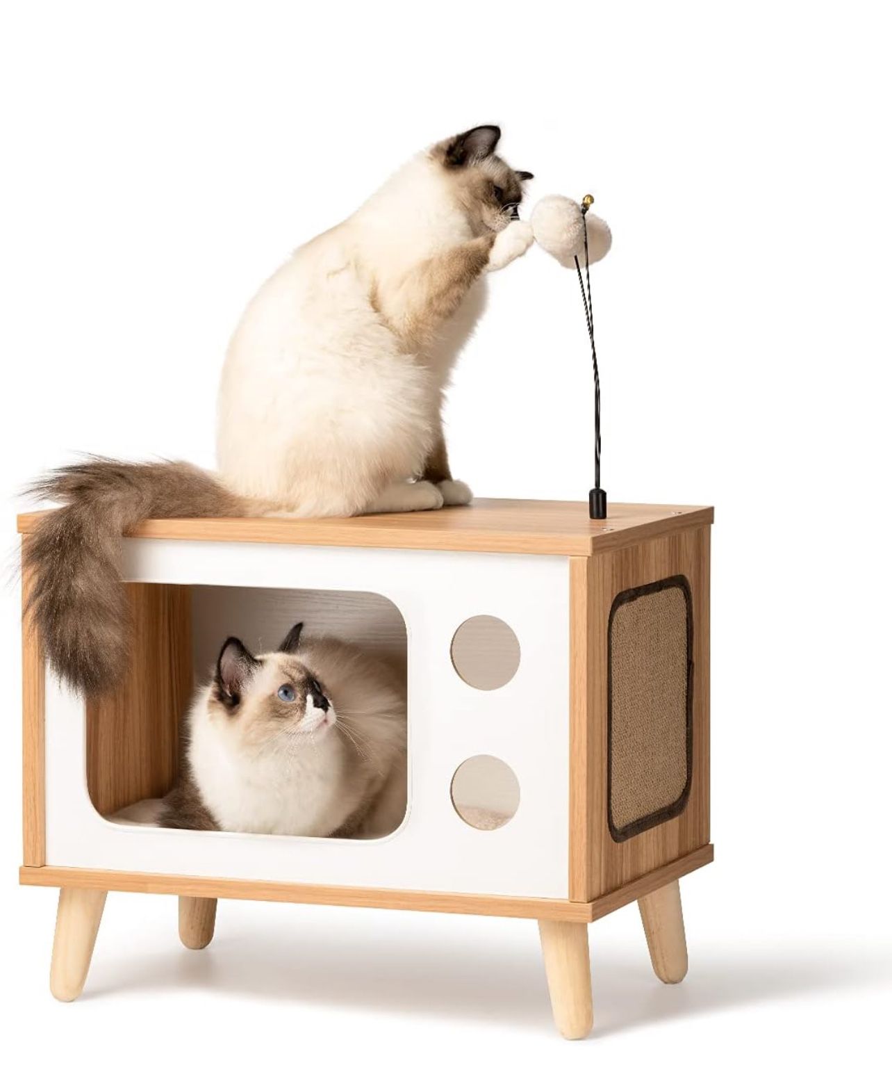 Cat  House TV Shape Box