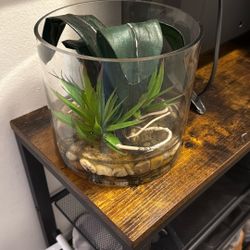 Plant Decoration Glass 