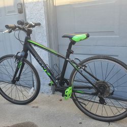 Giant Escape Junior Bike