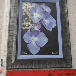 Original Photo Art ANDY DYSON 16.5x12.5 Custom Frame Signed Numbered 