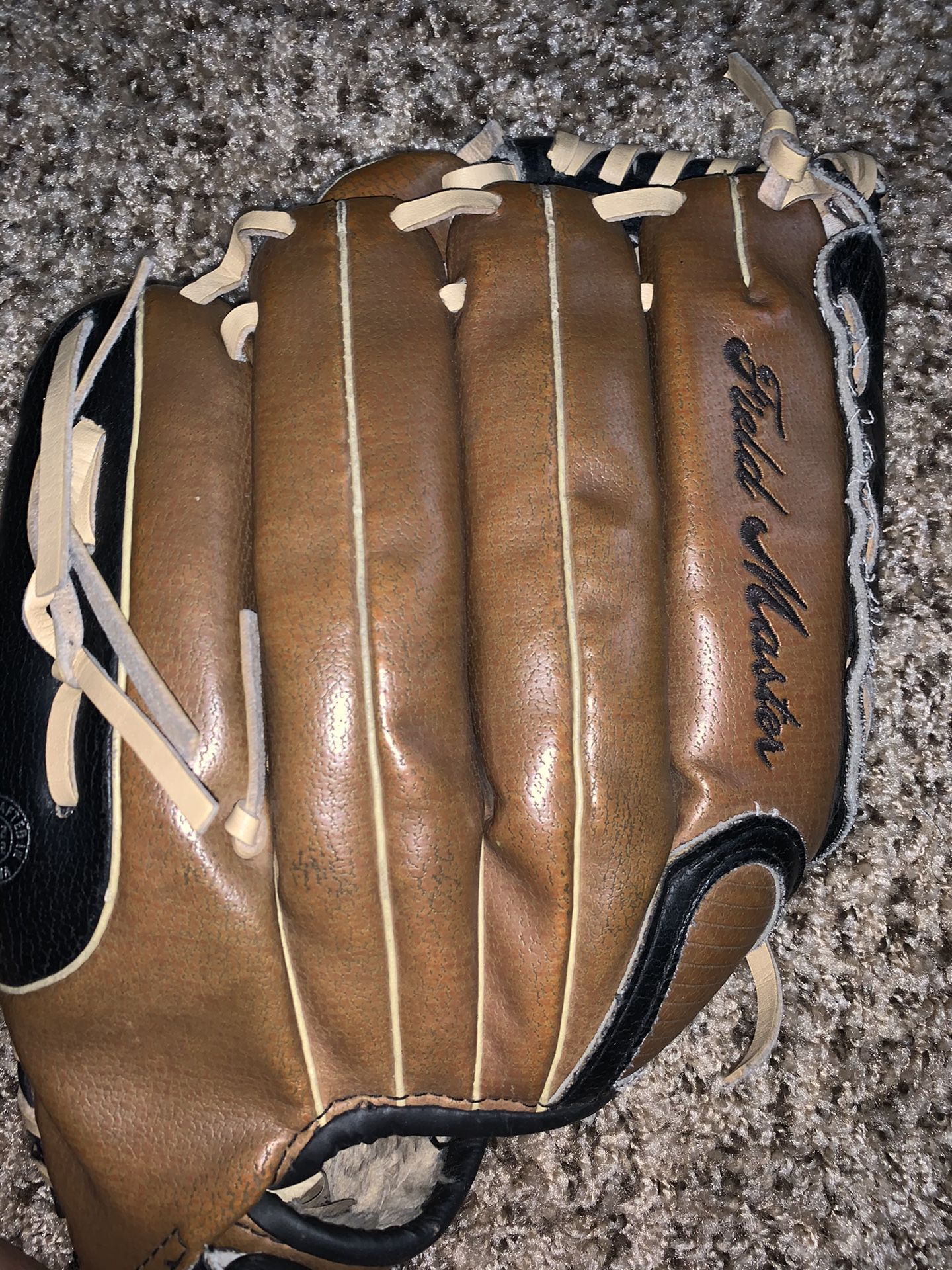 softball/baseball glove