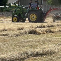 Nice Grass Hay For Sale