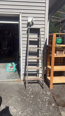 Free 6ft ladder