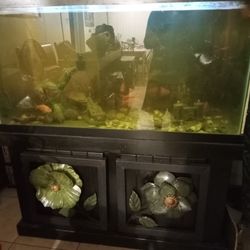 110 Gallons Fish Tank $330 Dlls. 