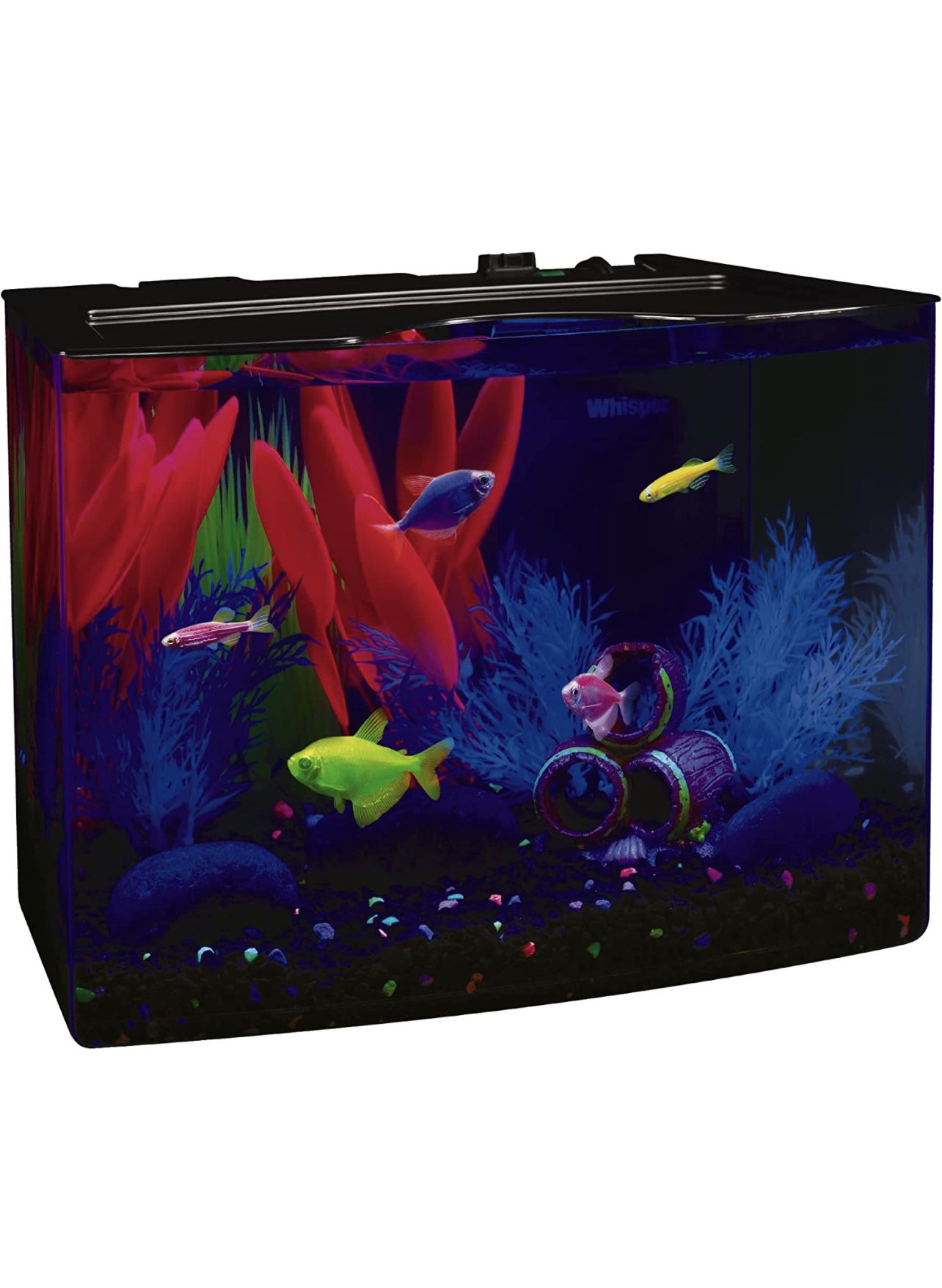GloFish Crescent aquarium Kit 3 Gallons, Includes Hidden Blue LED Light And Internal Filter