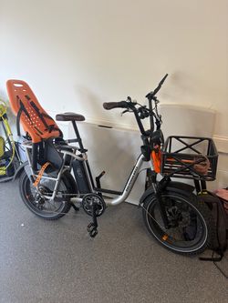 Radwagon electric bike