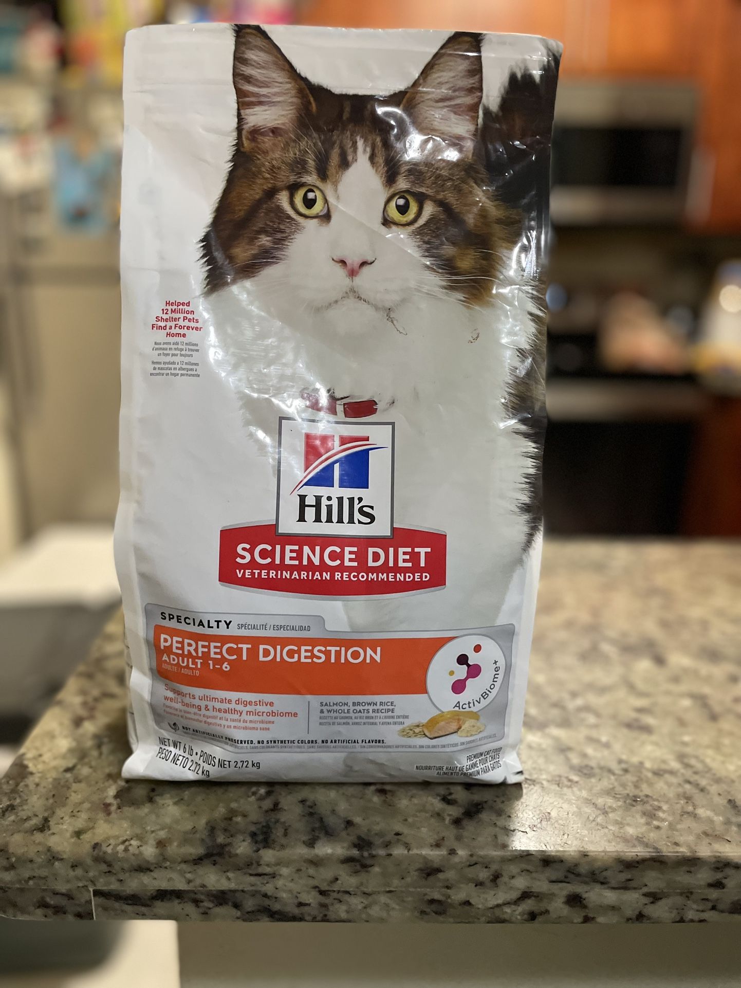 Cat Food