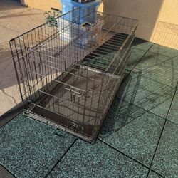 Collapsible Dog Crate