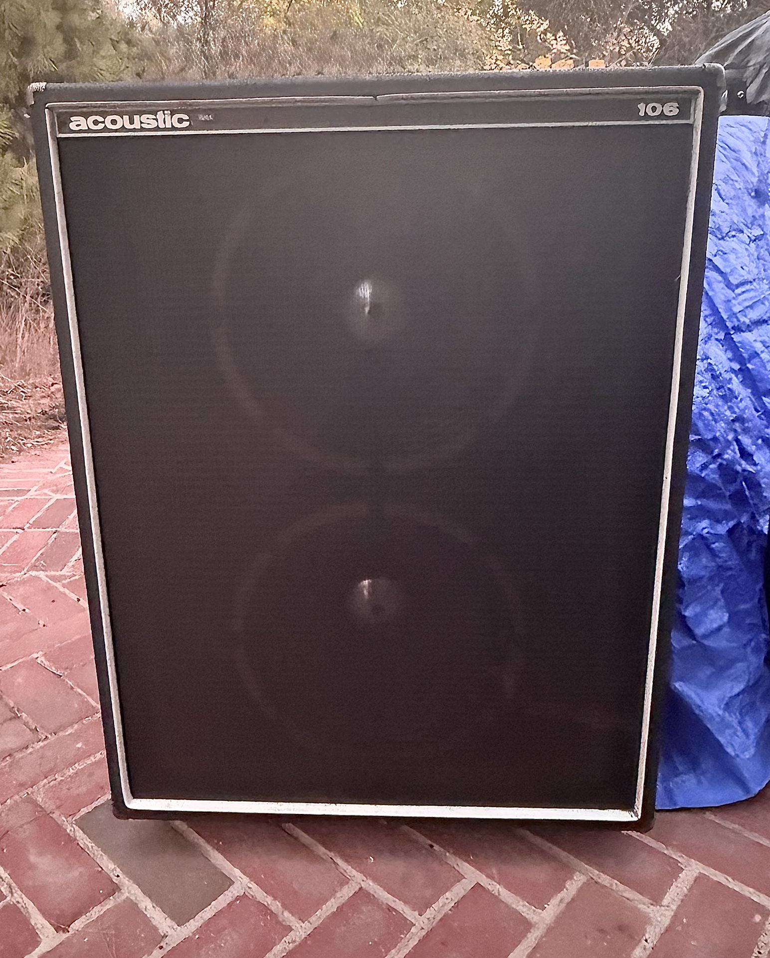 Acoustic 2-15 Bass Guitar Speaker Cabnet 