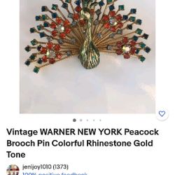 Vintage brooch Peacock