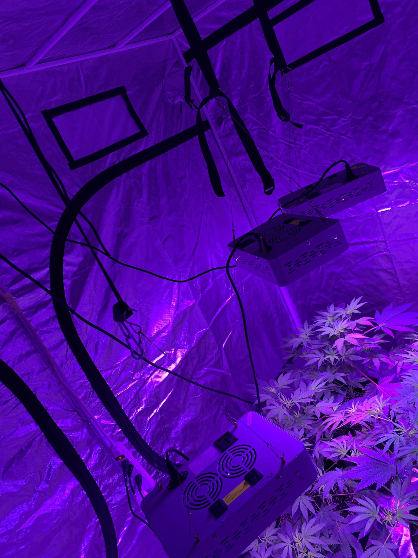 Grow tent with lights