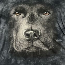 Black Lab Tshirt 