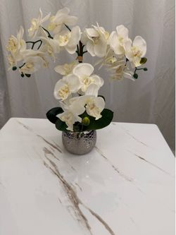 Orchid plant and picture frame accepting offers