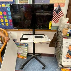 VIZIO 30” TV with Rolling Stand