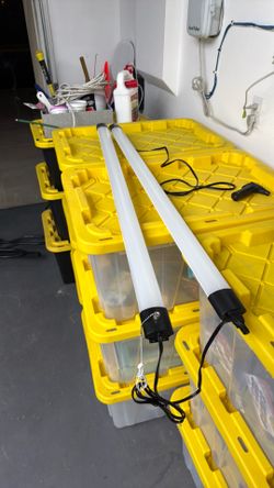 2 garage smart lights
