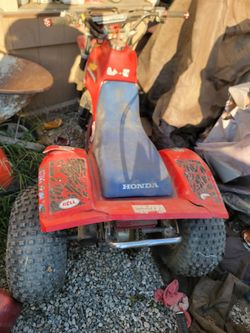 1983 Quad