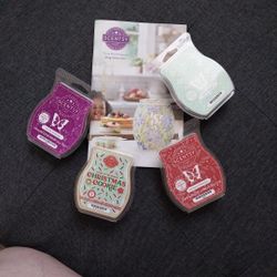 Scentsy Bar Fall/Winter Bundle - NEW!