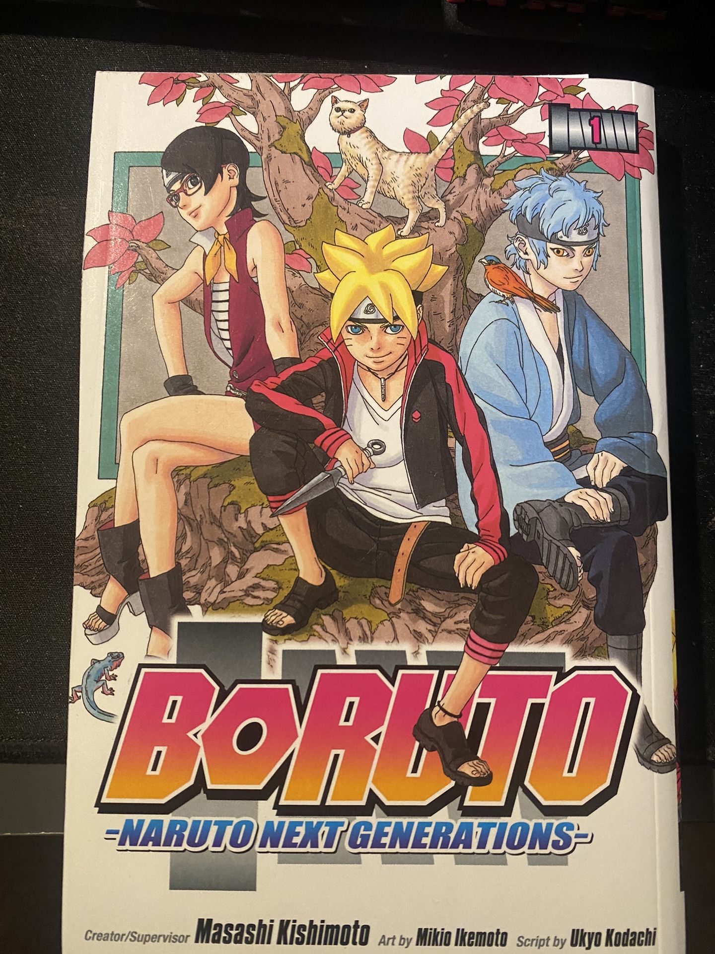 Boruto 1st Edition