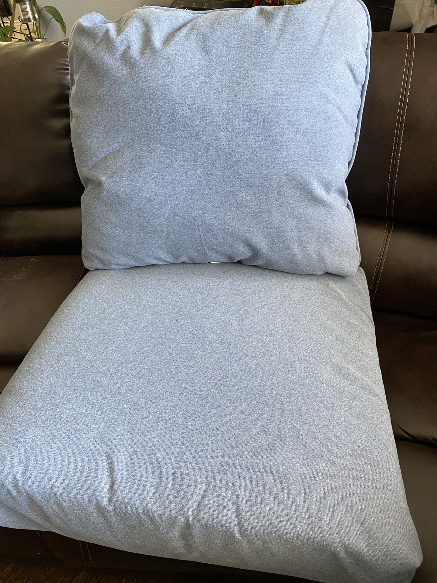 Blue chair cushions