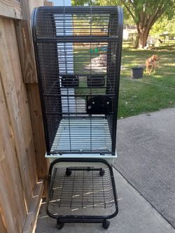 Bird Cage  Thumbnail