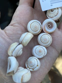Shell beads