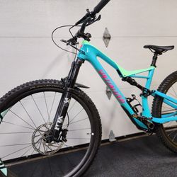 Specialized Stumpjumper Expert 29/6Fattie, Carbon Fiber - $2,800
