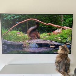 LG OLED CX 55’ EXCELLENT CONDITION