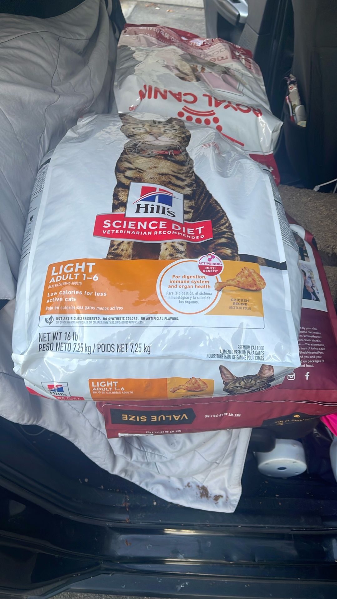 Science Diet Cat Food