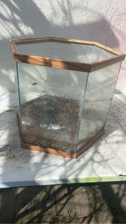 Fish Tank