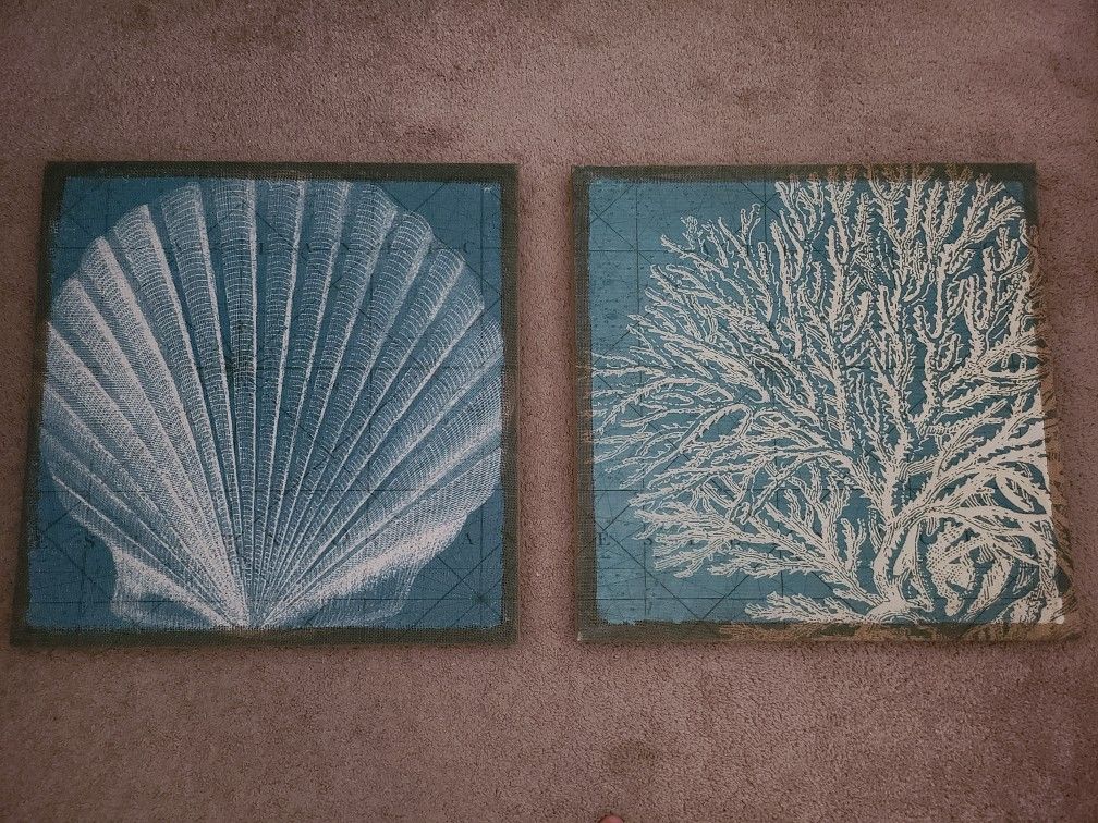 Beach wall art (seashell & sea fan)