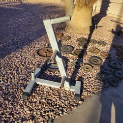 Stuff Heavy Duty Weights Storage Tree Holder 