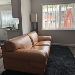 Roche Bobois Loveseat 