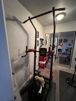 King Kang pull up bar