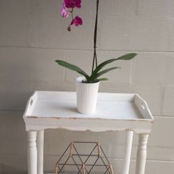 Wooden Tray Table In Antique White 