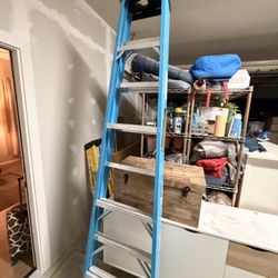 Werner 8 Foot Ladder 